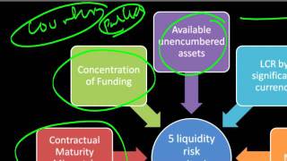 ALM and Capital Adequacy  ICAAP and Liquidity Risk Capital extensions [upl. by Carree405]