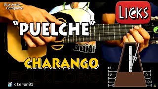 Puelche  Freddy Torrealba LICK CoverTutorial Charango [upl. by Eltsyrc104]