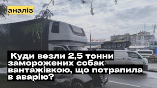 Аварія з вантажівкою в Миколаєві Куди у вантажівці везли 25 тонни заморожених собак mukhachow [upl. by Pylle112]