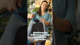 Horticultural Charcoal For Houseplants 🤩 shorts [upl. by Aiouqes]