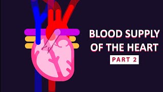 How The Heart Supplies Blood to Itself Part 2 [upl. by Modesta]