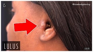 Wow This Tragus Piercing Is BAD [upl. by Eemla]