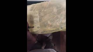 How much for the oxtails food shorts like subscribe funny [upl. by Ahseram]