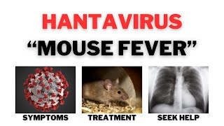 Hantavirus  Hantavirus Pulmonary Syndrome  quotMouse Feverquot Symptoms and Treatment [upl. by Alane]