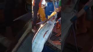 Nagkagulo kami dahil sa Isdang ito shortvideo youtubeshorts fishinglife fisherman viral [upl. by Aretse440]