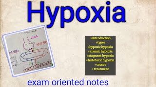 Hypoxia types causes treatment physiology [upl. by Ellemrac739]