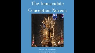 Day 8  Immaculate Conception Novena  2019 [upl. by Ellicec938]