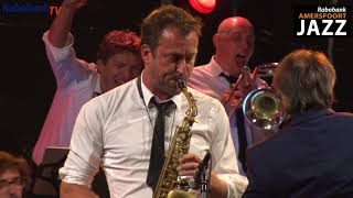 Licks and Brains  Next live  Main stage Amersfoort Jazz [upl. by Kauslick]