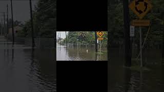 Hurricane Debby causes significant damage  Live Oak Florida USA  August 5 2024 [upl. by Shakespeare]