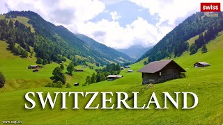 🐄🏠🌷 Relaxing and Peaceful Switzerland 🇨🇭 🌺 Beautiful Nature in the Swiss National Park  swiss [upl. by Sullivan]