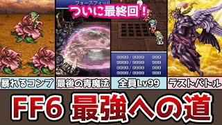 FF6 ついに完結！【最強育成】8 暴れるモンスター登録からラストバトルまで ピクセルリマスター ゆっくり解説 攻略チャート ファイナルファンタジー6 FINAL FANTASY VI [upl. by Troc648]