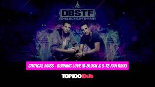 Critical mass  Burning loveDBlock amp SteFan rmx [upl. by Neal]