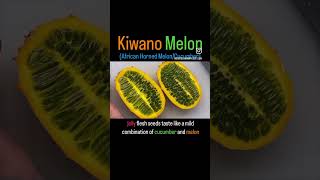 kiwano kiwanomelon [upl. by Sorvats966]