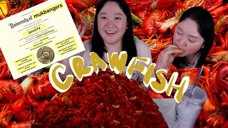 crawfish seafood boil mukbang  best crawfish in Austin [upl. by Rosalinde861]