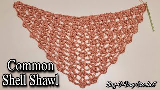 EASY Crochet Shawl Tutorial  Common Shell Stitch Shawl [upl. by Natsirhc401]