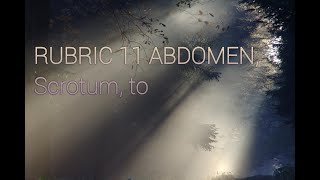 11 ABD SCROTUM TO [upl. by Armilda]