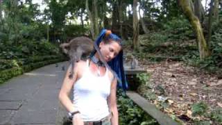 Ubud Monkey Forest [upl. by Felisha]