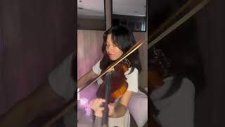 Wildest Dreams  Taylor Swift Violin Cover [upl. by Zwick]