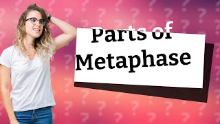 What are the parts of the metaphase [upl. by Omlesna]