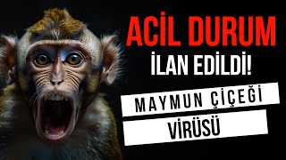 ACİL DURUM İLAN EDİLDİ MAYMUN ÇİÇEĞİ VİRÜSÜ NEDİR NASIL BULAŞIR [upl. by Vachil]