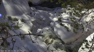 Oulanka Live Webcam Live Stream [upl. by Alexandro]