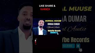 MursalMuuse  Dhigaa Dumar somalimusictotheworld 👉 MohaYbe Records 👉 youtubecommohaybe👈 ​ [upl. by Tail736]