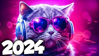 MÚSICA ELETRÔNICA 2024 🔥 AS MÚSICAS ELETRÔNICAS MAIS TOCADAS 🔥 Alok Vintage Culture amp David Guetta [upl. by Ailido]