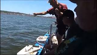 Harbour fishing in Durban on Simply the best fishing charters south [upl. by Kehsihba]