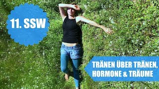 Tränen über Tränen Hormone und Träume  11SSW [upl. by Dnomayd]