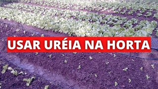 Como usar ureia na horta [upl. by Dory]