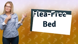 What can I spray on my bed for fleas [upl. by Wollis]