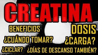 ¿Qué es LA CREATINA y para qué sirve la CREATINA  EXPLICACIÓN FÁCIL ✅ [upl. by Razaile]