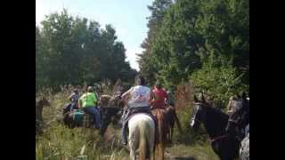 Knott County Fall Trail Ride [upl. by Eissac]