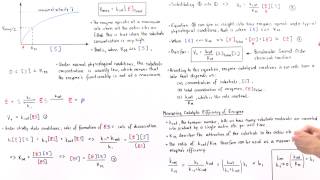 Catalytic Efficiency of Enzymes kcatKm  Part II [upl. by Eugeniusz]