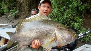 Fish of Paradise how sport fishing could help people and the environment in Papua New Guinea [upl. by Apur]