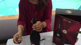 Remy Martin VSOP Cognac Champagne Gift Set [upl. by Mcnully765]