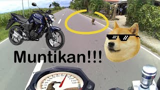 Yamaha Fz16 Top Speed  all stock [upl. by Howzell985]