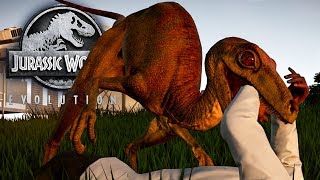 Jurassic World Evolution 28  Der Troodon dreht durch amp die Olorotitan ziehen ein  LP JW Deutsch [upl. by Ailama]