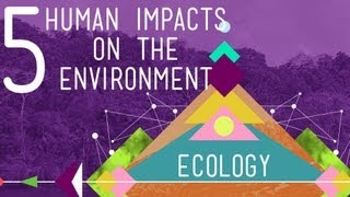 5 Human Impacts on the Environment Crash Course Ecology 10 [upl. by Kincaid]