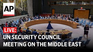 LIVE UN Security Council meeting on the Middle East [upl. by Malynda]