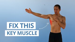 5 Unique Serratus Anterior Exercises for Strong amp Stable Shoulders [upl. by Charles]