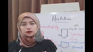 Protein Metabolism Session 14 Histidine Amino Acid Metabolism [upl. by Diann]