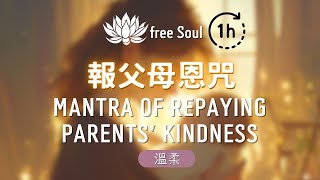 報父母恩咒🎧1 HOUR 💠為在世父母延壽、七世父母超拔可報父母恩Mantra of Repaying Parents Kindness 能念恩的人最幸福 [upl. by Ierna]