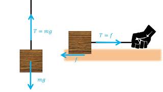 Física  Fuerza de tensión y poleas [upl. by Naghem800]