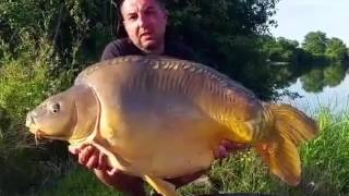 Karpervissen in Frankrijk op Lac de Villedon  Eddy Sterckx  zomer 2016 [upl. by Pearse]