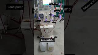 Parts of Dialysis machine nephrologist dialysis dialysisstudy viralshorts kidney [upl. by Nawiat678]