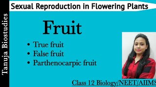 Sexual Reproduction in Flowering Plants  Fruits  TrueFalseParthenocarpic Fruits  Class 12NEET [upl. by Yehc827]