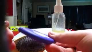 Olive oil for Dogs dry skin Concoxion [upl. by Hettie764]