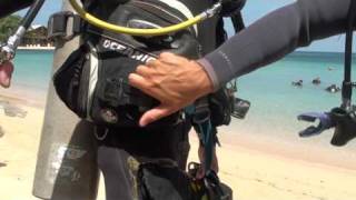 Buddy  Predive Safety Check Skill 2 [upl. by Eiramaneet]