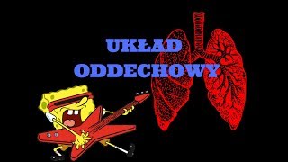 Układ oddechowy  budowa [upl. by Haldis]